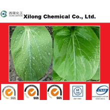 Low Price Spray Adjuvant, Superspreading Surfactant for Spraying and Agrochemical